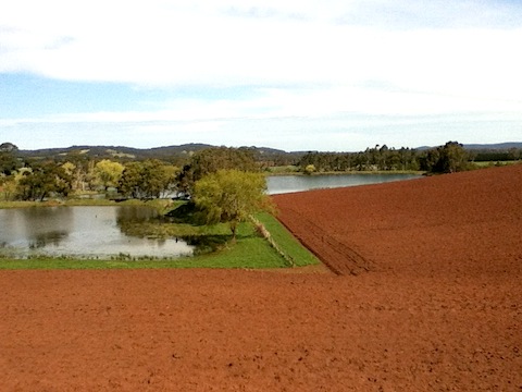 ploughed red soil