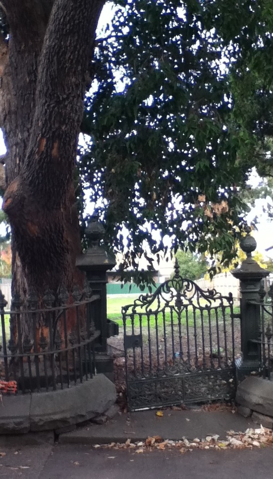 Gum Tree Beats Fence - House Looses